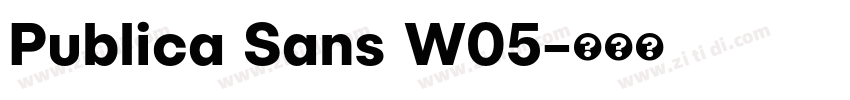 Publica Sans W05字体转换